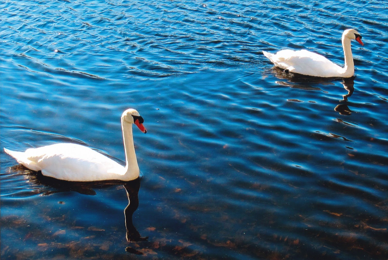 🏞️ 이지미노 공원 (이지미노코엔) 이미지 4
